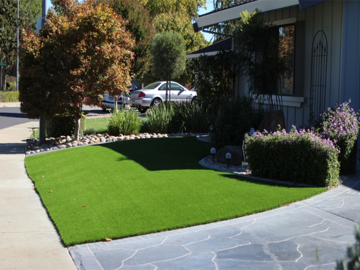 Artificial Grass Lake Hamilton Florida Landscape Front