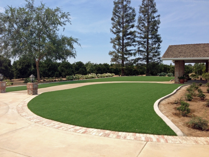 Artificial Grass Lake Mack-Forest Hills Florida Landscape