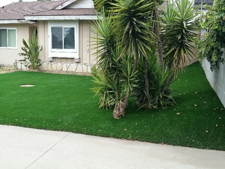 Artificial Grass Leesburg Florida Lawn Back Yard