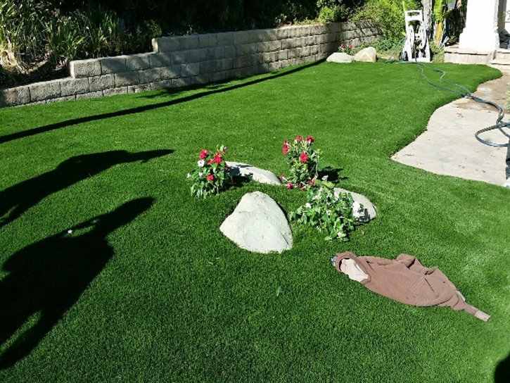 Artificial Grass Lisbon Florida Landscape Commercial Landscape