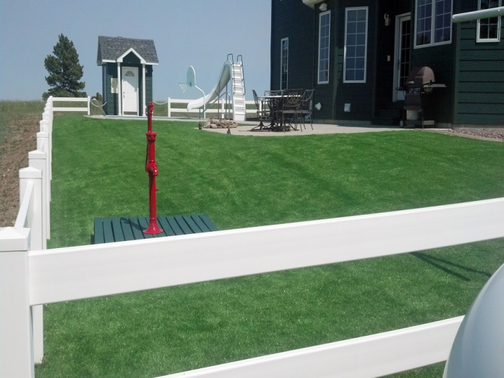 Artificial Grass Loughman Florida Landscape Swimming Pools