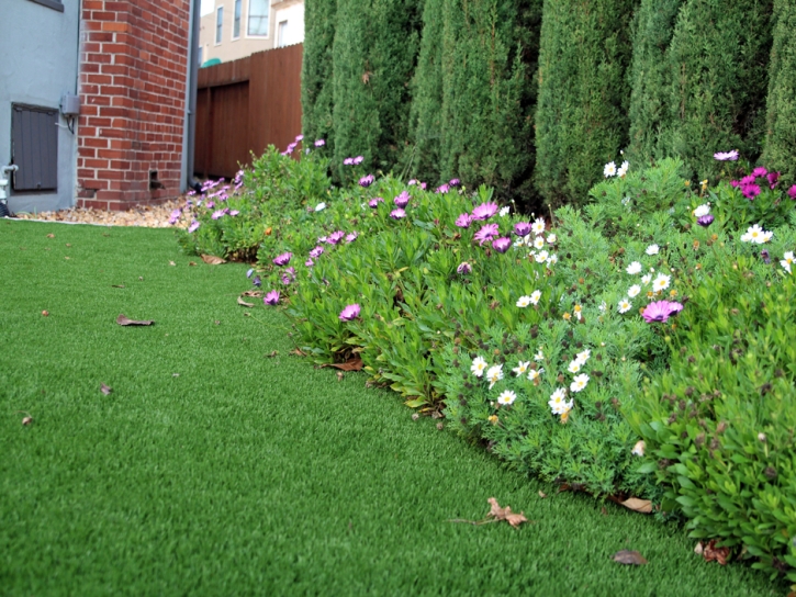 Artificial Grass Melbourne Village Florida Landscape Recreational