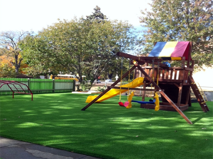 Artificial Grass Oak Ridge Florida Playgrounds