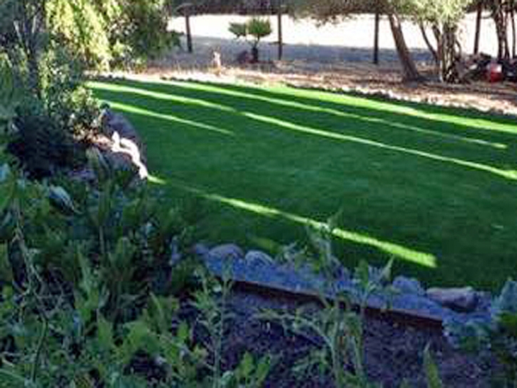 Artificial Grass Orange City Florida Landscape Front Yard