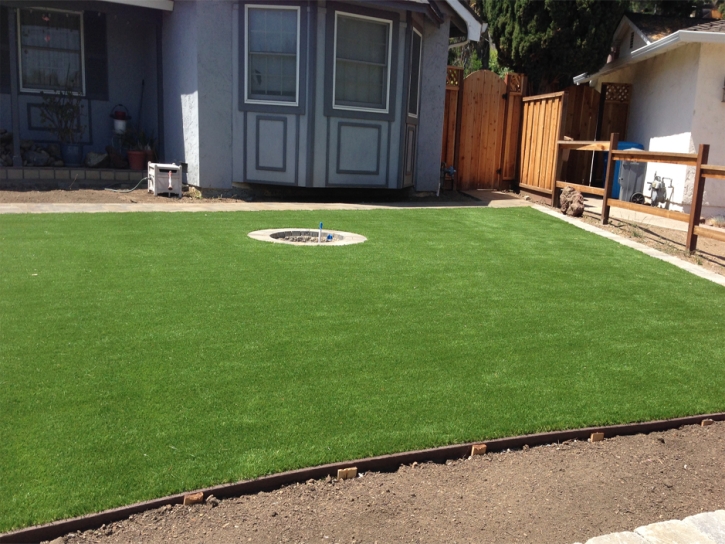 Artificial Grass Plant City Florida Landscape