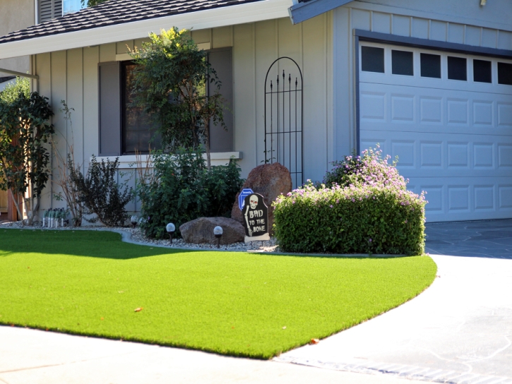 Artificial Grass Polk City Florida Lawn Back Yard