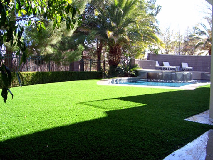 Artificial Grass Ponce Inlet Florida Lawn Front Yard