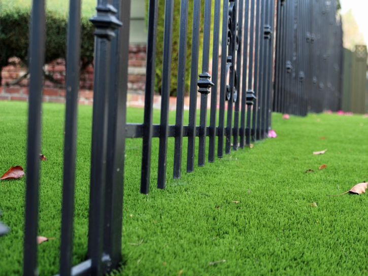 Artificial Grass Seville Florida Landscape