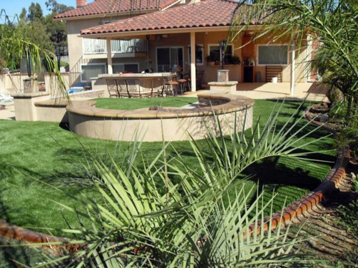 Artificial Grass Silver Springs Shores Florida Landscape