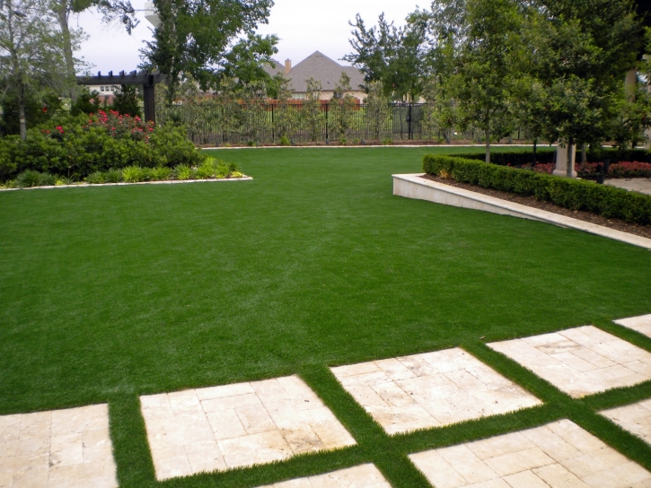 Artificial Grass Sky Lake Florida Landscape Back Yard