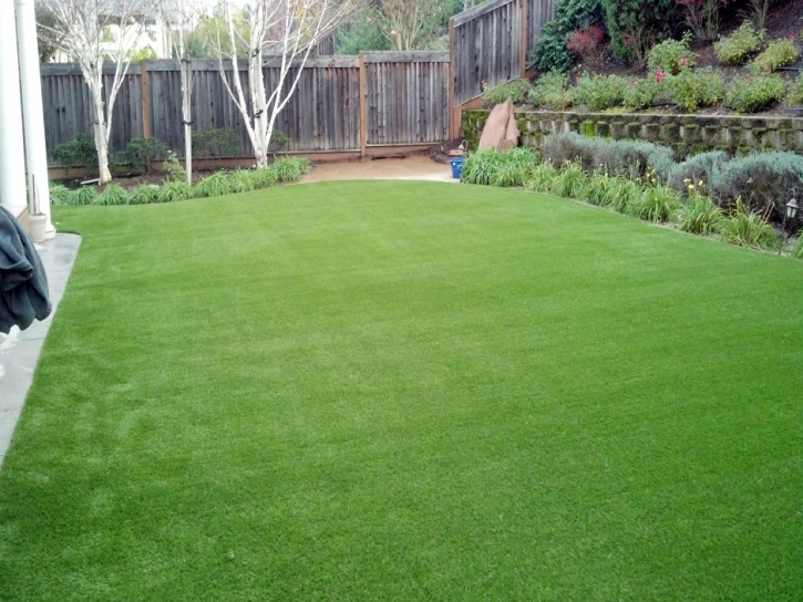 Artificial Grass Sorrento Florida Lawn Back Yard