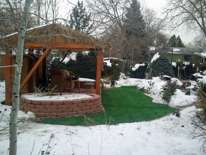 Artificial Grass Sorrento Florida Lawn Front Yard