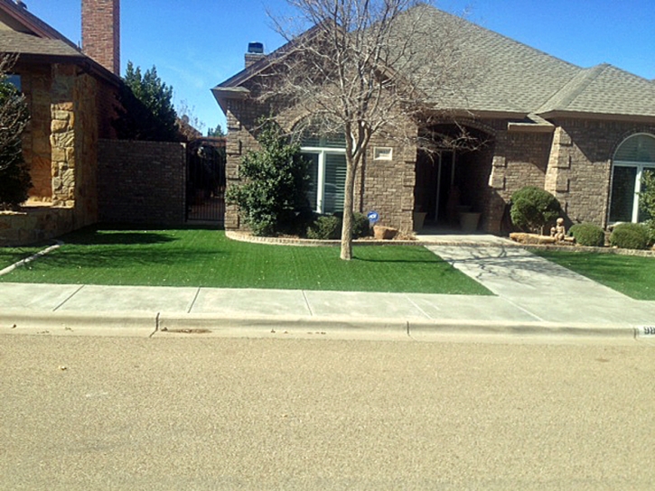 Artificial Grass The Villages Florida Lawn Pools Back Yard