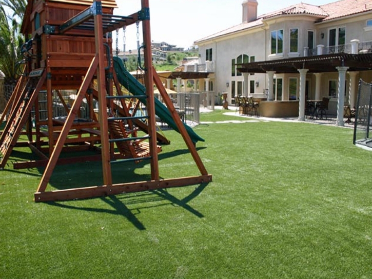 Artificial Grass Windermere Florida Kindergarten