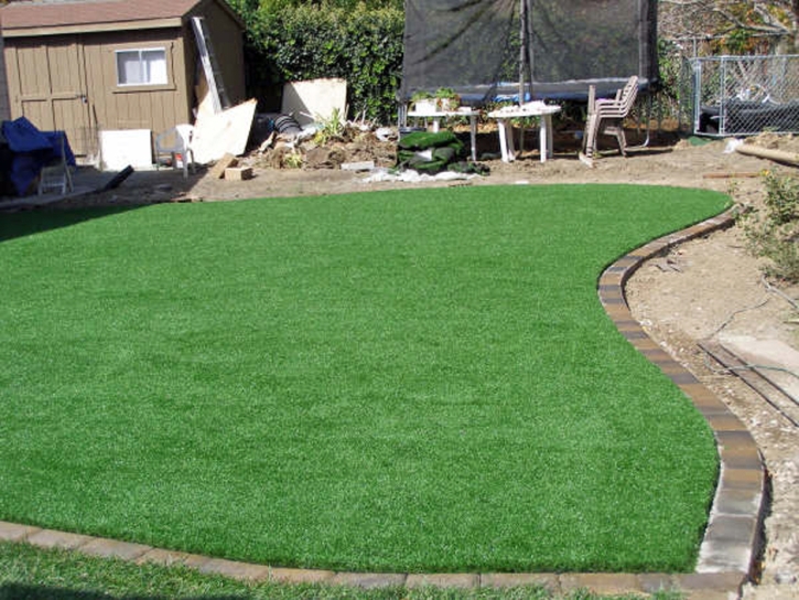 Artificial Grass Winston Florida Landscape Back Yard