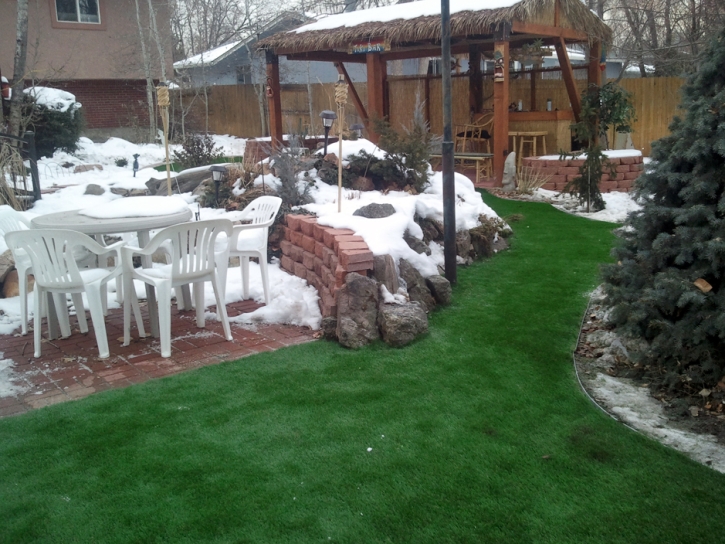 Artificial Grass Winter Park Florida Lawn Commercial Landscape