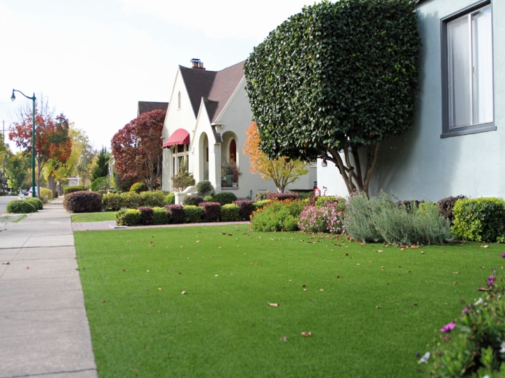 Artificial Grass Zephyrhills North Florida Lawn Back Yard