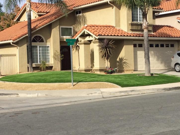 Artificial Grass Zephyrhills South Florida Lawn Back Yard