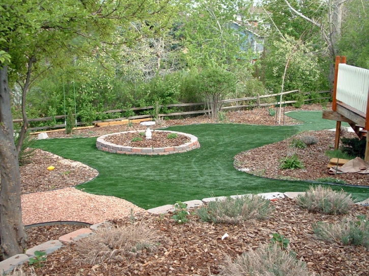 Artificial Grass Zephyrhills West Florida Landscape