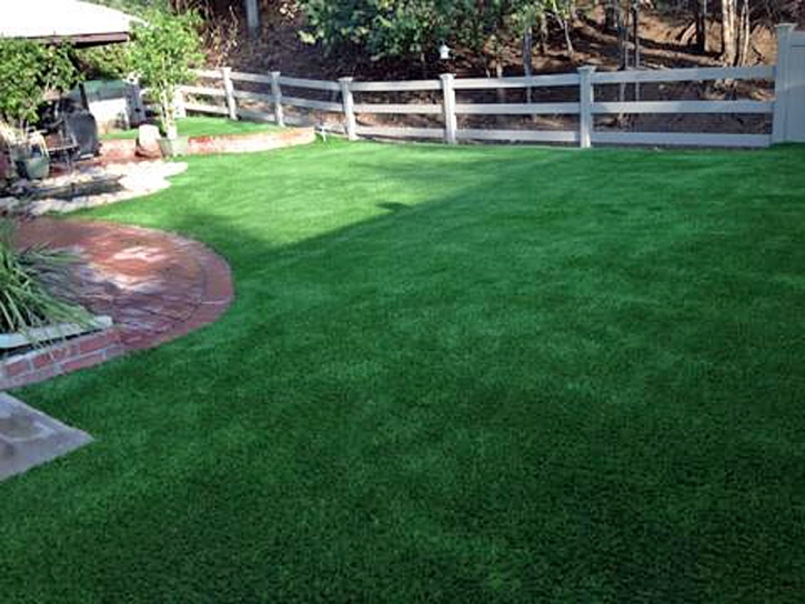 Artificial Pet Grass Babson Park Florida Installation Back