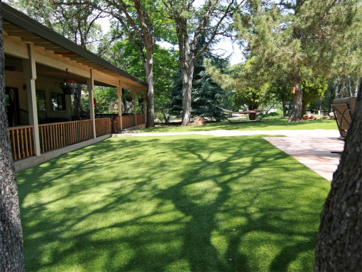 Artificial Pet Grass Geneva Florida Installation Back Yard