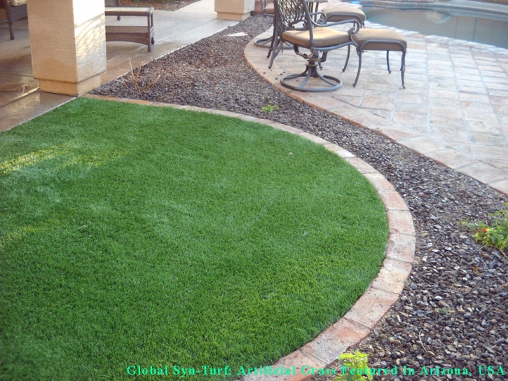 Artificial Pet Grass Pine Hills Florida for Dogs