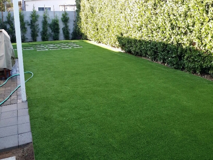 Artificial Pet Grass Pittman Florida Installation Pavers