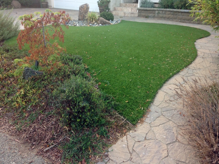 Artificial Pet Turf Alturas Florida Installation Commercial