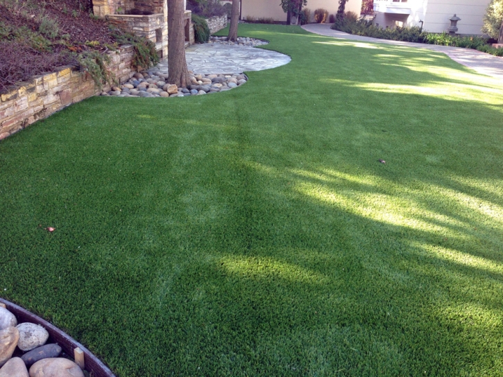 Artificial Pet Turf New Smyrna Beach Florida for Dogs Back