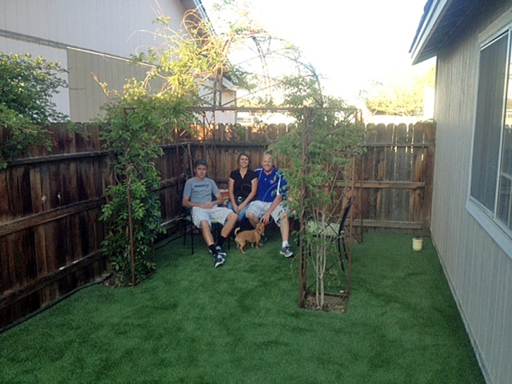 Artificial Pet Turf Wildwood Florida Installation