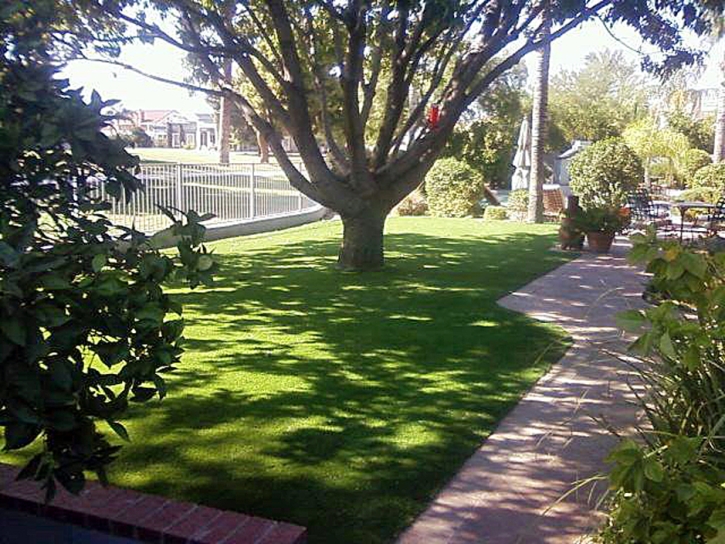 Artificial Turf Astatula Florida Lawn Front Yard