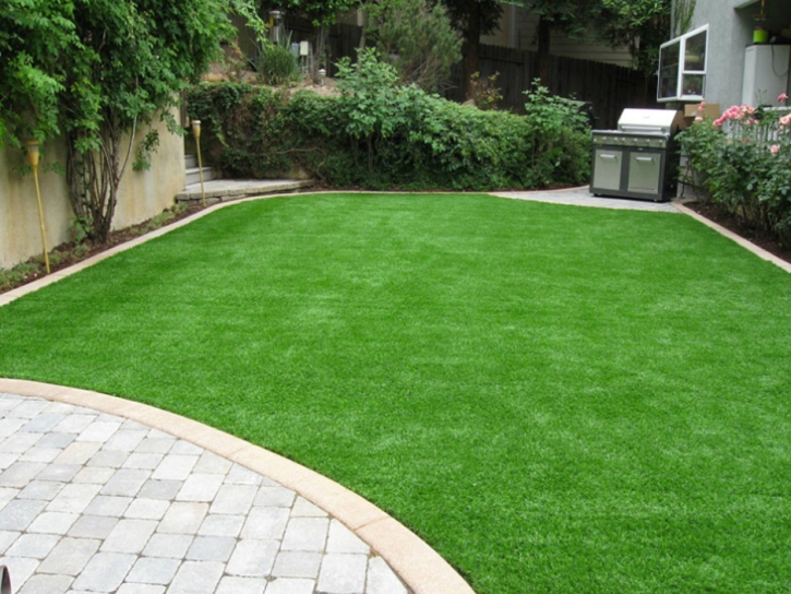 Artificial Turf Cape Canaveral Florida Landscape Front