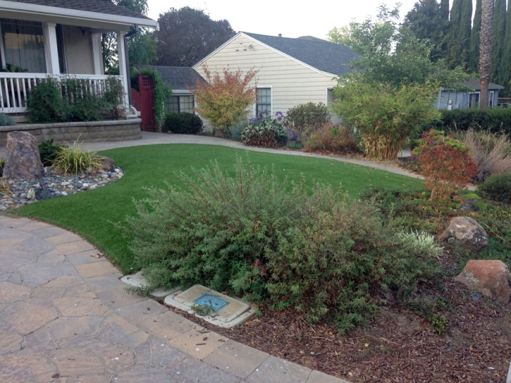 Artificial Turf Cocoa Beach Florida Landscape Back Yard