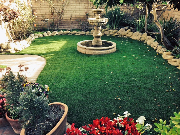 Artificial Turf Cypress Gardens Florida Lawn Recreational