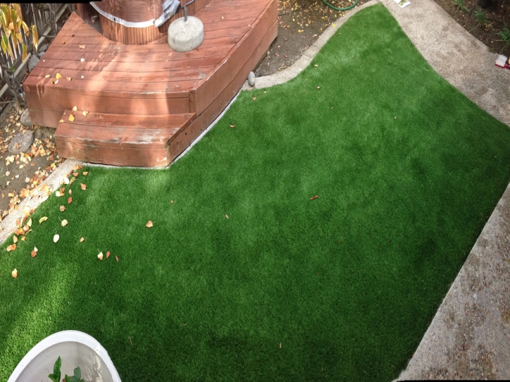 Artificial Turf Dade City North Florida Landscape Front