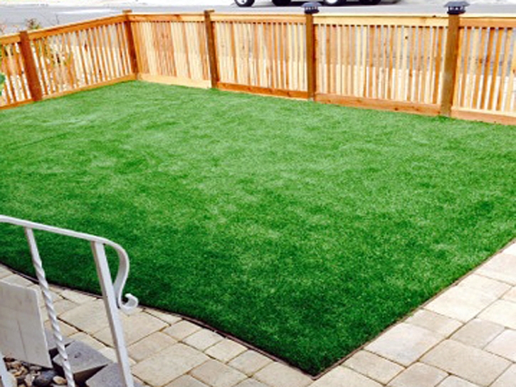 Artificial Turf Davenport Florida Lawn Back Yard