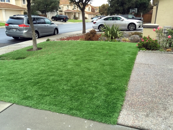 Artificial Turf Daytona Beach Florida Landscape Swimming