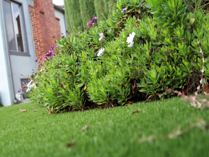 Artificial Turf Daytona Beach Shores Florida Lawn Back Yard