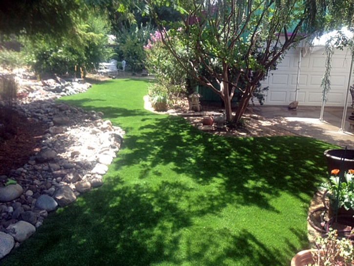 Artificial Turf Eagle Lake Florida Landscape Commercial