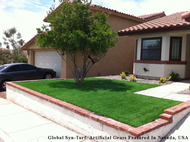 Artificial Turf Edgewood Florida Landscape