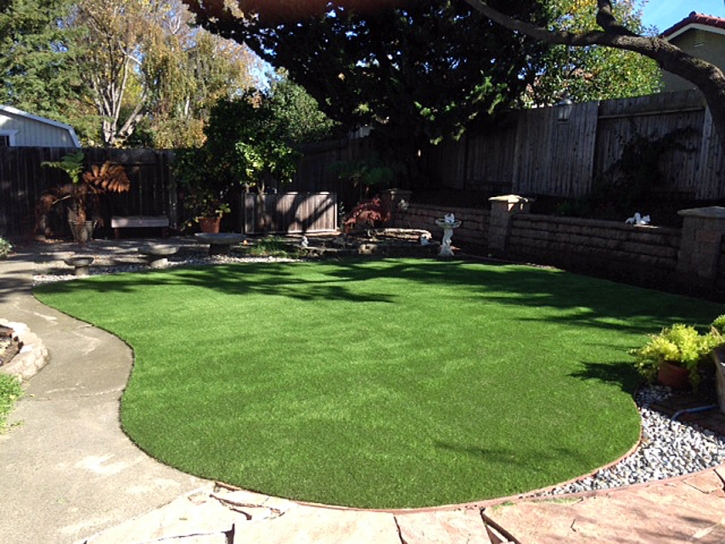 Artificial Turf Frostproof Florida Landscape