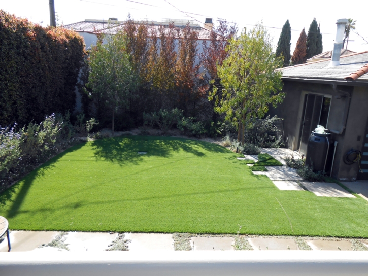 Artificial Turf Groveland Florida Lawn Back Yard