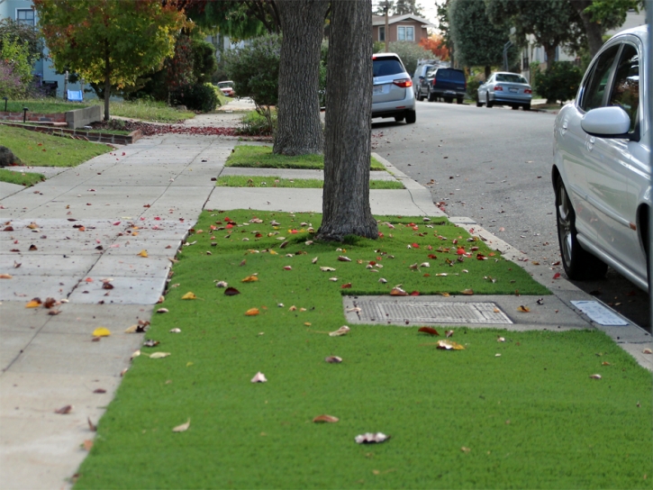 Artificial Turf Hillcrest Heights Florida Landscape Fountans