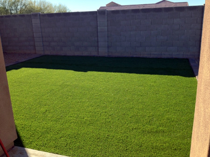 Artificial Turf Holly Hill Florida Lawn Front Yard