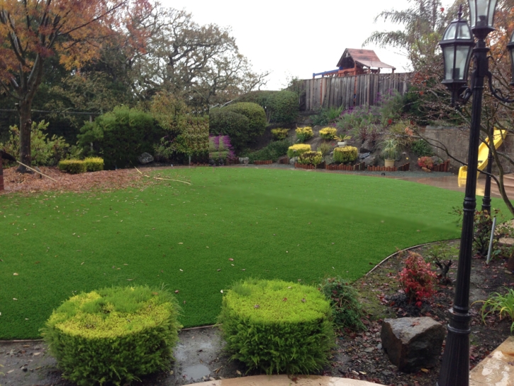 Artificial Turf Jan-Phyl Village Florida Lawn Front Yard