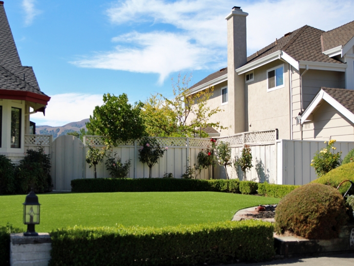 Artificial Turf Lake Alfred Florida Landscape Front Yard