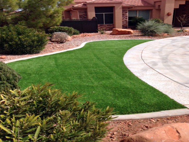 Artificial Turf Lake Mary Florida Lawn Back Yard