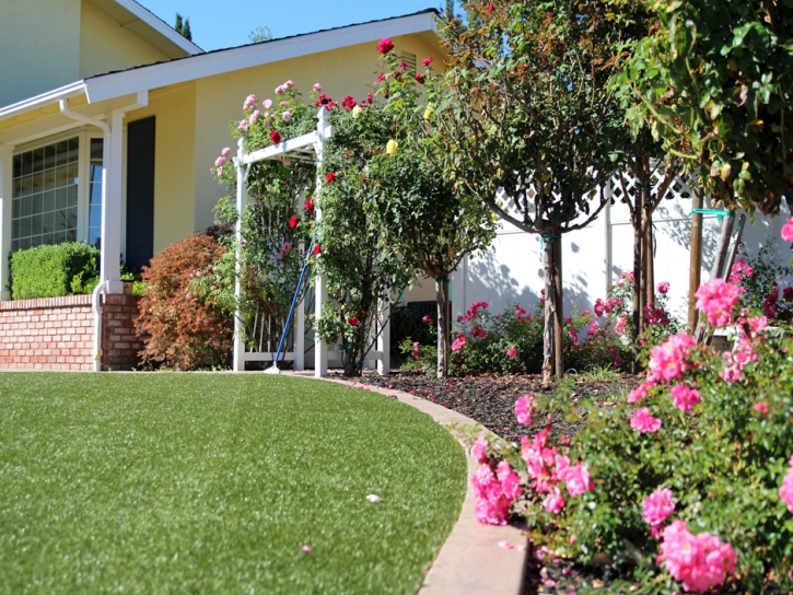 Artificial Turf Leesburg Florida Landscape Back Yard