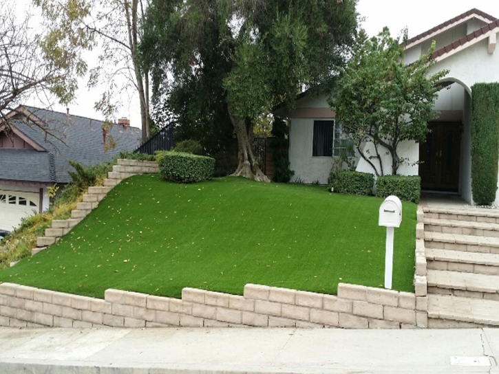 Artificial Turf Lisbon Florida Lawn Front Yard