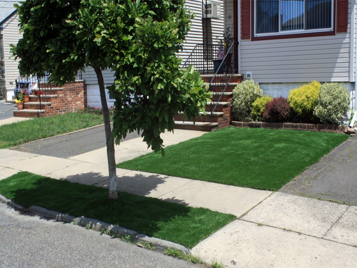 Artificial Turf Minneola Florida Lawn Back Yard